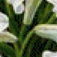 Preview of cross stitch pattern: #559924