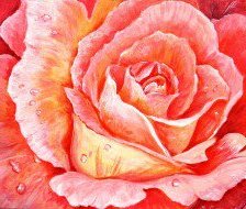 Cross stitch pattern: #559926