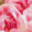 Preview of cross stitch pattern: #559927