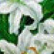 Preview of cross stitch pattern: #559930