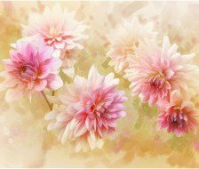 Cross stitch pattern: #559932
