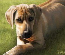 Cross stitch pattern: #559935