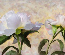 Cross stitch pattern: #560005