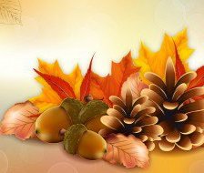Cross stitch pattern: #560015