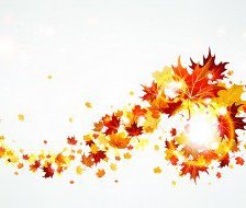Cross stitch pattern: #560031