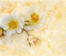 Cross stitch pattern: #560038