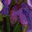 Preview of cross stitch pattern: #560039