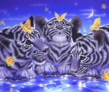 Cross stitch pattern: #560042