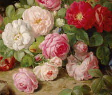 Cross stitch pattern: #560049
