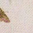 Preview of cross stitch pattern: #560059