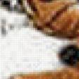 Preview of cross stitch pattern: #560065