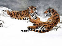 Cross stitch pattern: #560065