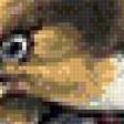 Preview of cross stitch pattern: #560066