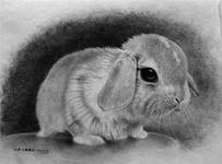 Cross stitch pattern: #560067