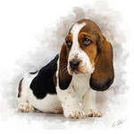 Cross stitch pattern: #560079