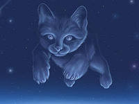 Cross stitch pattern: #560081