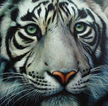 Cross stitch pattern: #560082