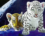 Cross stitch pattern: #560083
