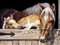 Cross stitch pattern: #560088