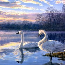 Cross stitch pattern: #560114