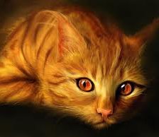 Cross stitch pattern: #560232