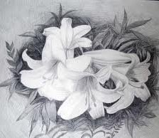 Cross stitch pattern: #560238