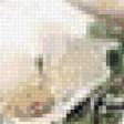 Preview of cross stitch pattern: #560244