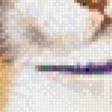 Preview of cross stitch pattern: #560305
