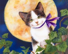 Cross stitch pattern: #560305