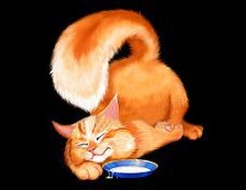 Cross stitch pattern: #560311