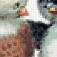 Preview of cross stitch pattern: #560316
