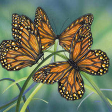 Cross stitch pattern: #560387