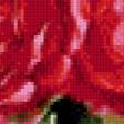 Preview of cross stitch pattern: #560388