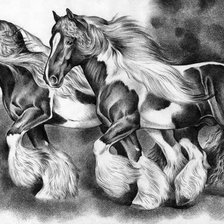 Cross stitch pattern: #560406