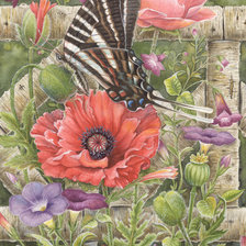 Cross stitch pattern: #560420