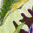 Preview of cross stitch pattern: #560470