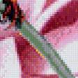 Preview of cross stitch pattern: #560539