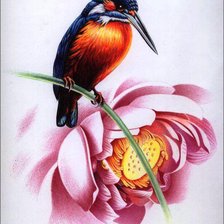 Cross stitch pattern: #560539