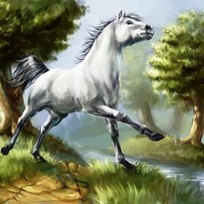 Cross stitch pattern: #560565