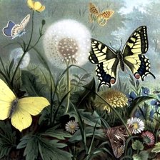 Cross stitch pattern: #560572