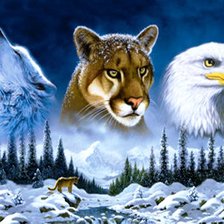 Cross stitch pattern: #560588