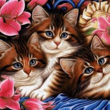 Cross stitch pattern: #560692