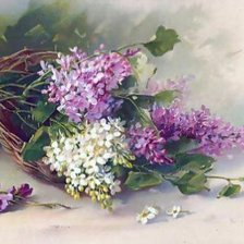 Cross stitch pattern: #560741