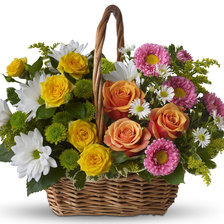 Cross stitch pattern: #560748