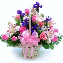 Cross stitch pattern: #560749