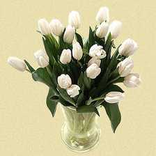 Cross stitch pattern: #560750