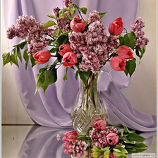 Cross stitch pattern: #560833