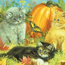 Cross stitch pattern: #560865