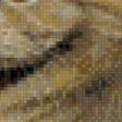 Preview of cross stitch pattern: #560877