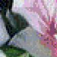 Preview of cross stitch pattern: #560895